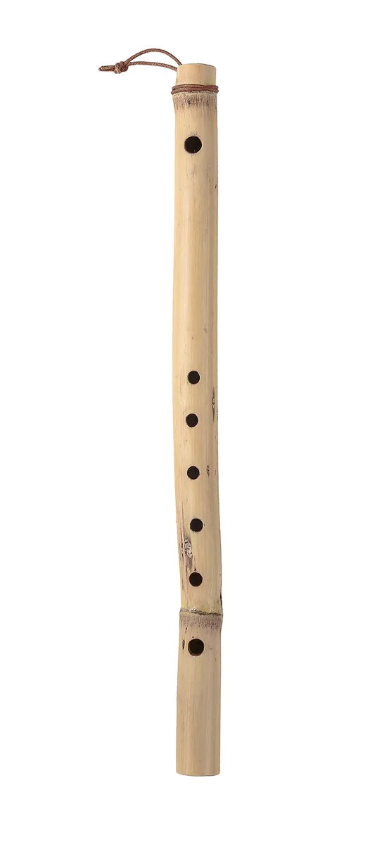 Single pale cane transverse flute with an upper blowing hole and a row of finger holes