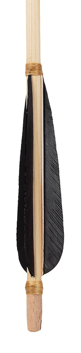 Broad Leaf-Shaped Arrow — Black Fletching — Pack of 10